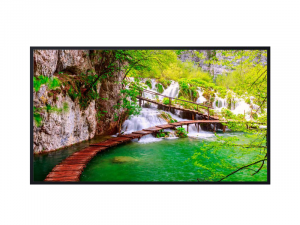 55 Zoll UHD Display - Panasonic TH-55CQE2W (Neuware) kaufen