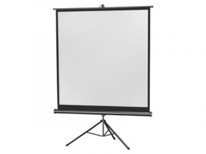 Stativleinwand - Celexon Economy (Neuware) kaufen