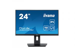 24 Zoll Desktop Monitor Widescreen - iiyama XUB2492HSU-B6 (Neuware) kaufen